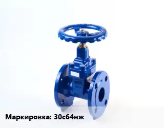 Задвижка стальная 30с64нж